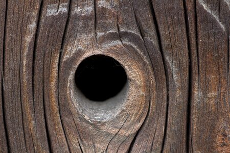 Wood old structure