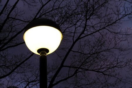 Artificial light night lamp photo