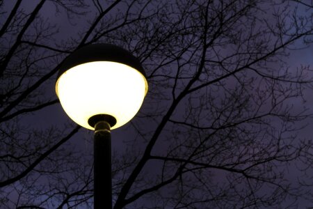 Artificial light night lamp