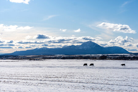 sleeping ute mountain photo