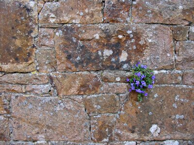 Stone wall stones