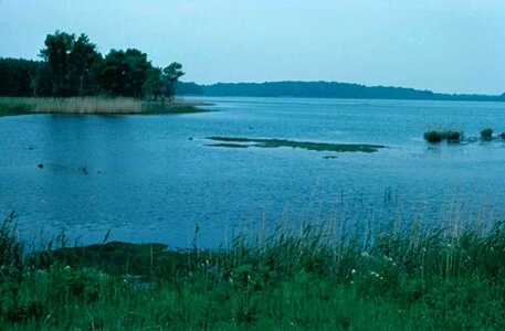 Cloudy lake 