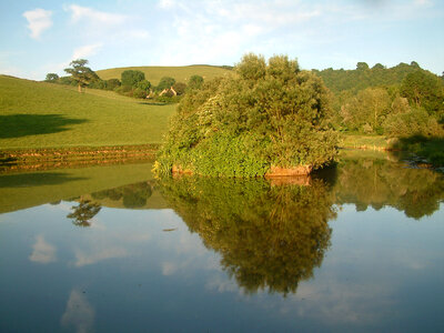 Pond and Serene Landscape with reflections