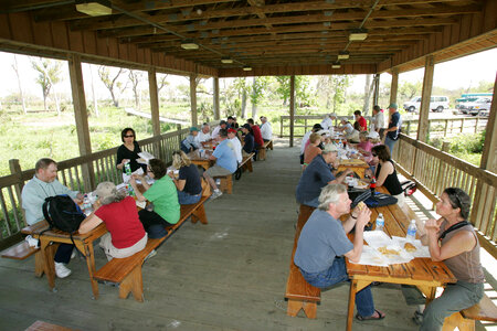 Visitors enjoy the picnic facilities at Bayou Sauvage National Wildlife Refuge photo