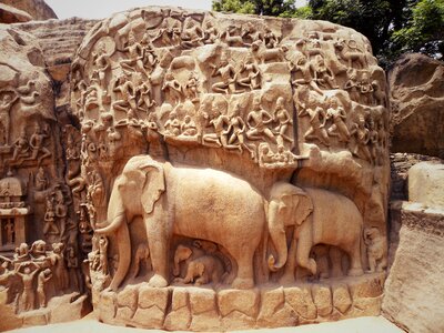 Elephant sculpture cyril photo