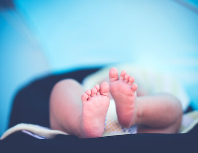 Soft Newborn Baby Feet against a Blue Blurred Background photo