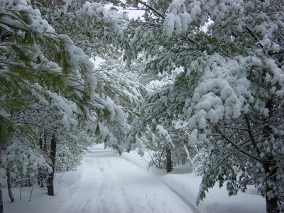 Covered white snowy photo