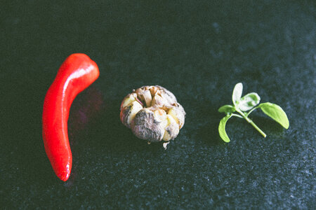 Fresh Vegetables Bio photo