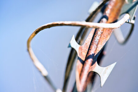 Barbed Wire photo