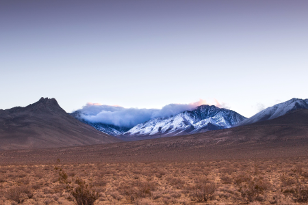 Desert fog landscape