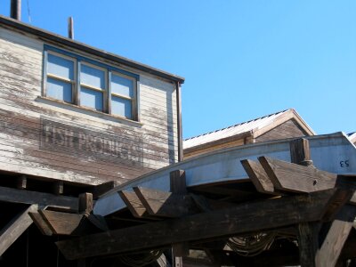 Disneyland pier coast photo