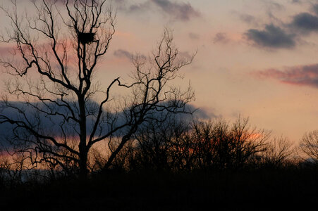 NCTC eagles nest at night-1