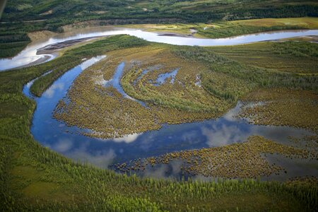 Forest tetlin national wildlife refuge landscape