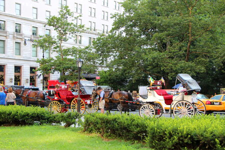 Horse and carriage at Central Park, New York City photo
