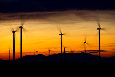 Dusk Wind Farm landscape photo