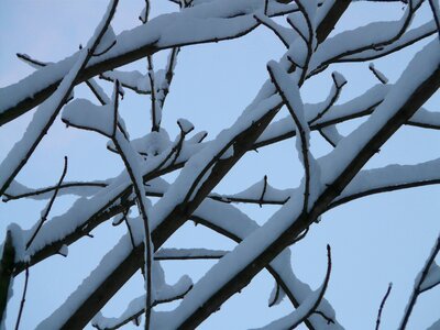 Snowy winter snow