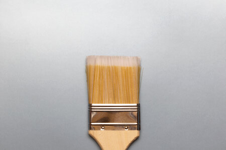 Paint Brush Top View