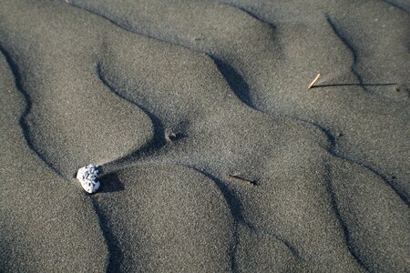 Patterns soil bright photo