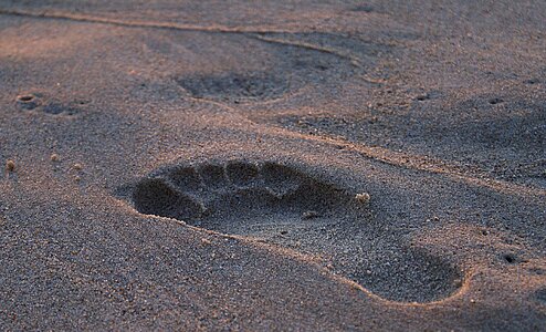 Grains of sand barefoot beach