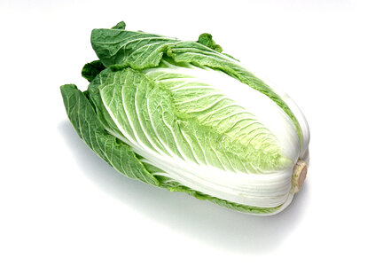 Chinese cabbage photo
