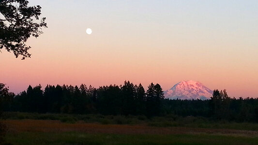 Dusk landscape view with moon of Mount Rainier National Park, Washington photo
