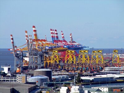 Large industry cranes photo