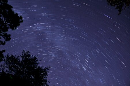 Sky Stars Tree Night Dark