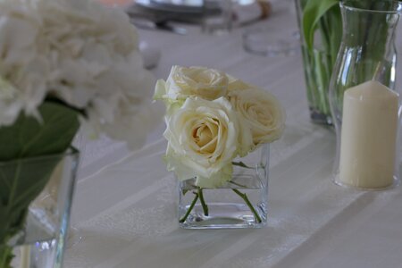 Candlestick white flower candles photo