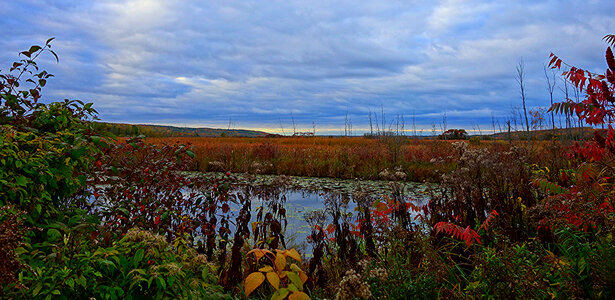 Landscape and Sky with clouds in Ontario, Canada photo