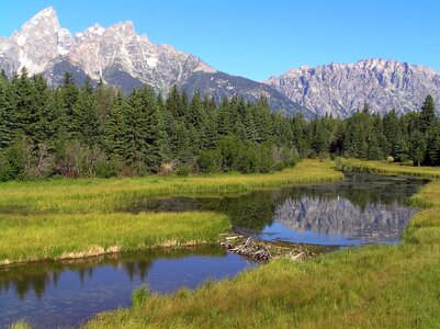 Mountains forest trees photo