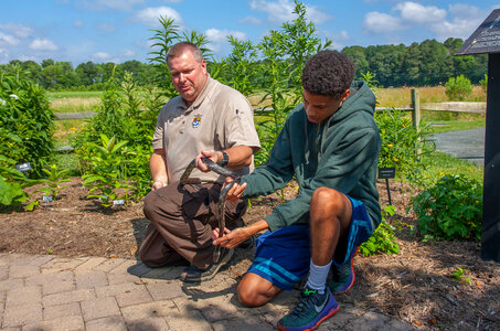 FWS staff with young boy handling black rat snake-5