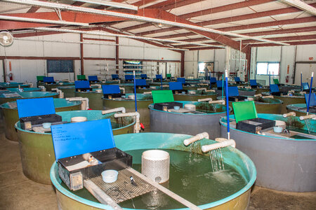 Recirculating tanks-1