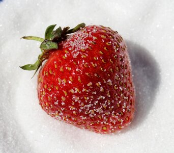 Summer fruit delicious sweet