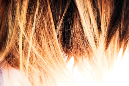 Blond blonde hair color