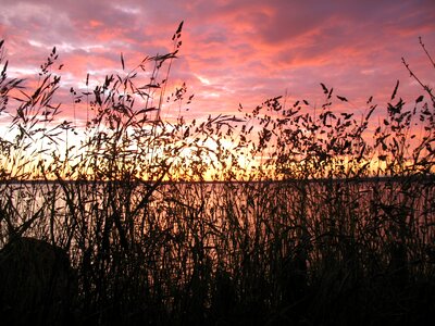Lake grass sky photo