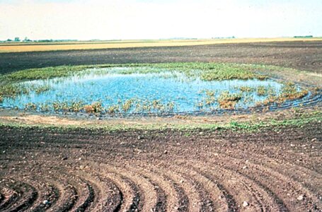 Agriculture farm farming