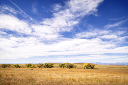Rocky Mountain Arsenal National Wildlife Refuge