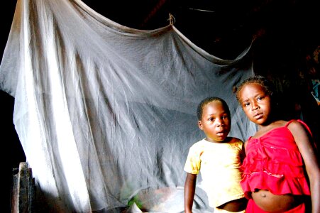 Community malaria project