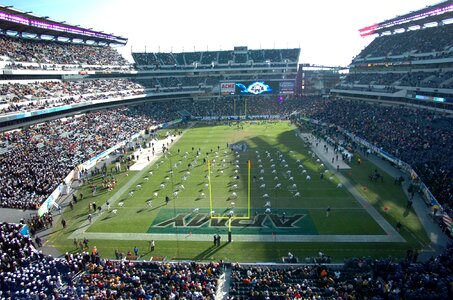 Field grass turf