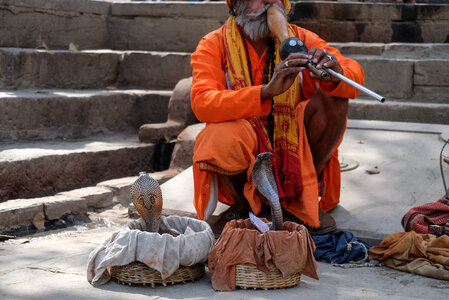 Snake Charmer with Cobra in Basket photo