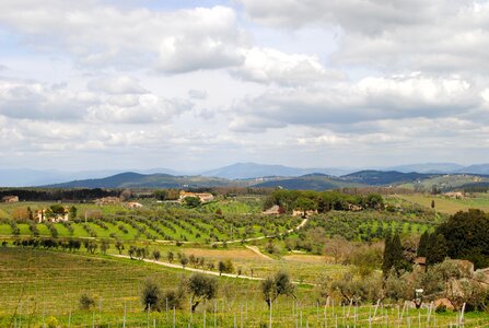 Landscape view vineyards photo