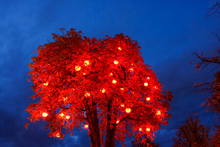 Decorated Red Tree for Halloween photo