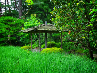 Beautiful Japanese garden photo