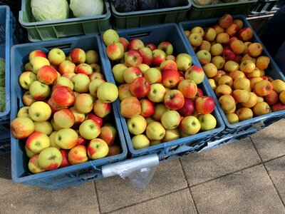 Healthy fruit fruit stand