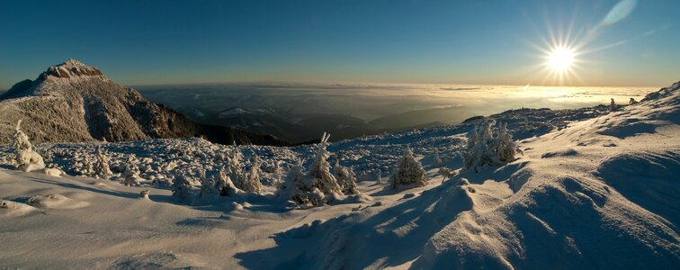 Cold white frost photo