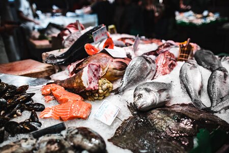 Seafood Market Overview photo