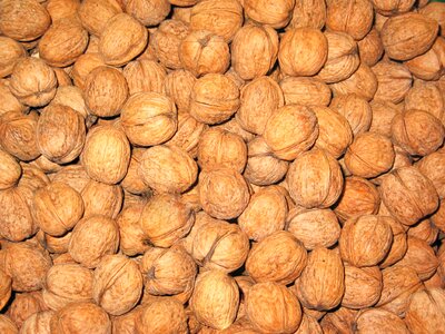 Food nut nutrition photo
