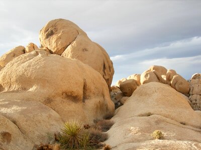 Joshua tree national park moja mojave desert photo