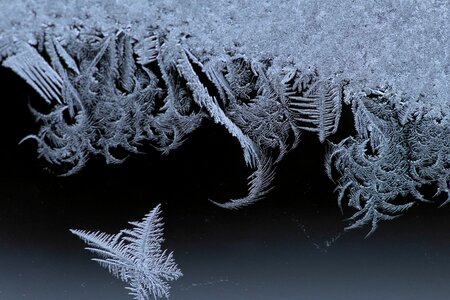Beautiful frost frosty photo