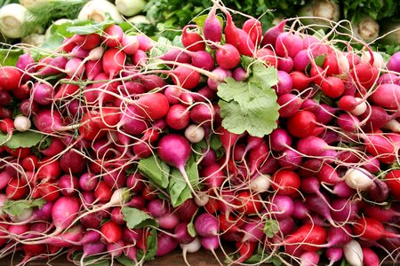 Farmers market farmer farmers